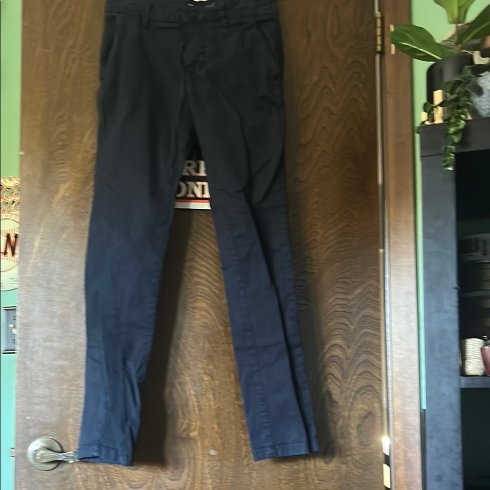 Zara Men's Navy Pants